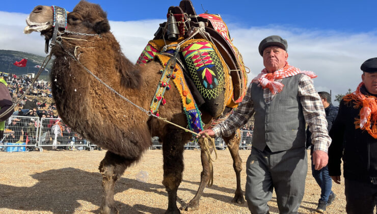KEMALPAŞA, GELENEKSEL DEVE GÜREŞİ FESTİVALİ’YLE RENKLENDİ