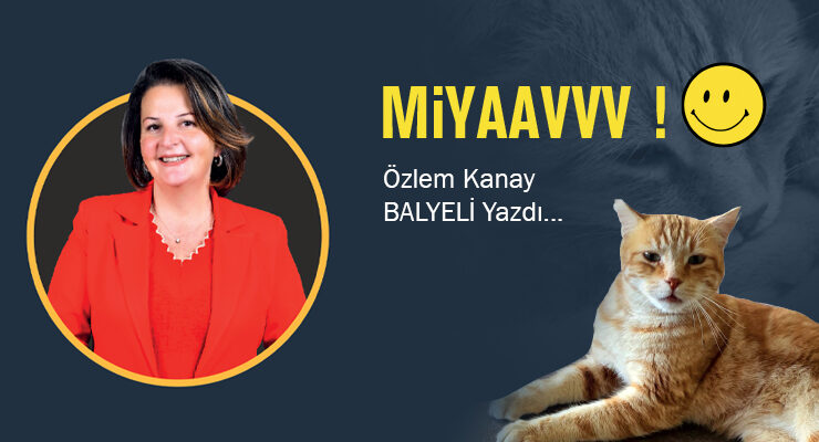 Özlem Kanay Balyeli yazdı…Miyaavvv !