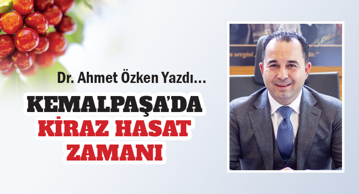 KEMALPAŞA’DA KİRAZ HASAT ZAMANI