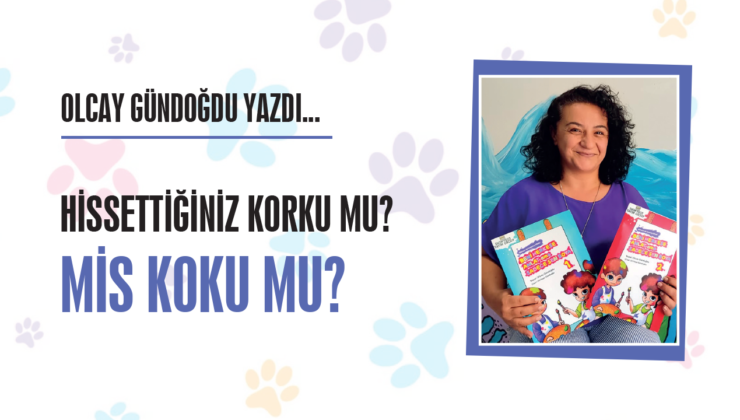 HİSSETTİĞİNİZ KORKU MU? MİS KOKU MU?