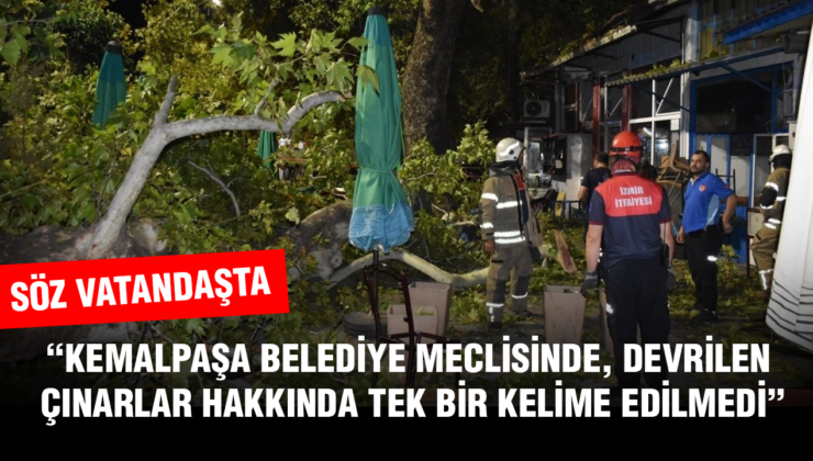 “SÖZ VATANDAŞTA”…“KEMALPAŞA BELEDİYE MECLİSİNDE, DEVRİLEN ÇINARLAR HAKKINDA TEK BİR KELİME EDİLMEDİ”