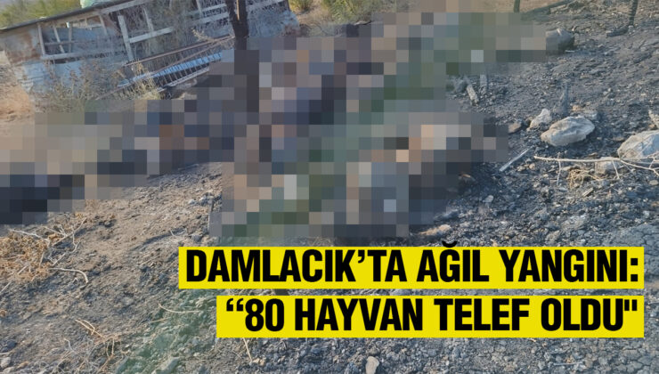 DAMLACIK’TA AĞIL YANGINI: “80 HAYVAN TELEF OLDU”