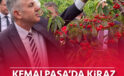 Kemalpaşa’da Kiraz Mesaisi Başladı: Vali Elban İlk Hasada Katıldı
